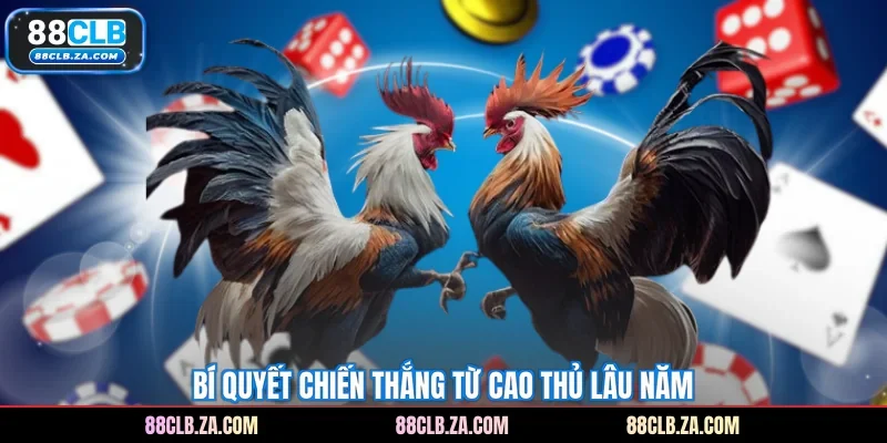Bí quyết chiến thắng từ cao thủ lâu năm