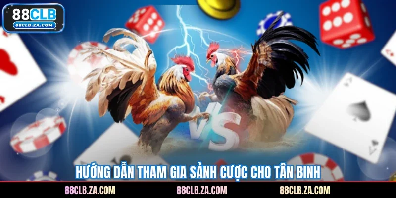 Hướng dẫn tham gia sảnh cược cho tân binh