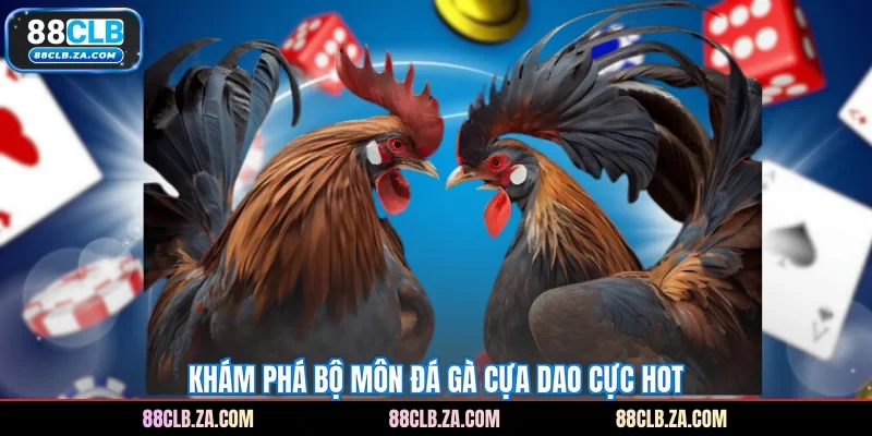 Khám phá bộ môn đá gà cựa dao cực HOT