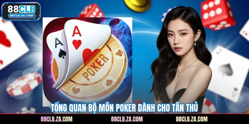 Tổng quan bộ môn Poker dành cho tân thủ